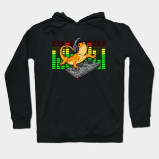 Bearded Dragon DJ Gift Djing Hoodie